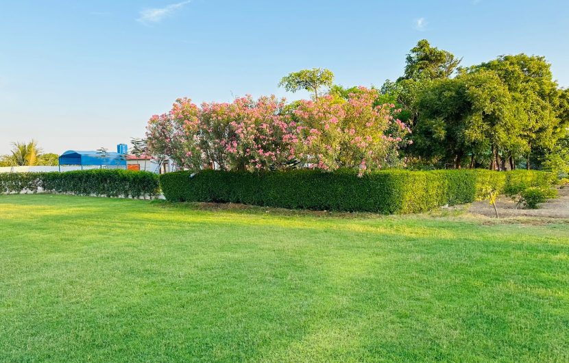 Tanoli Green Farmhouse