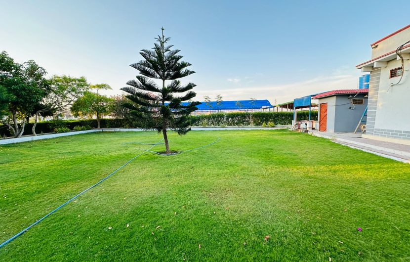 Tanoli Green Farmhouse