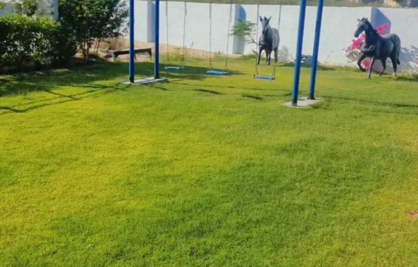 Tanoli Green Farmhouse